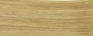 All Natural Lustrous Henna Blonde 100 grams Beauty & Personal Care Lustrous Henna