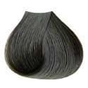 Satin Haircolor 5a Light Ash Chestnut Beauty & Personal Care Satin