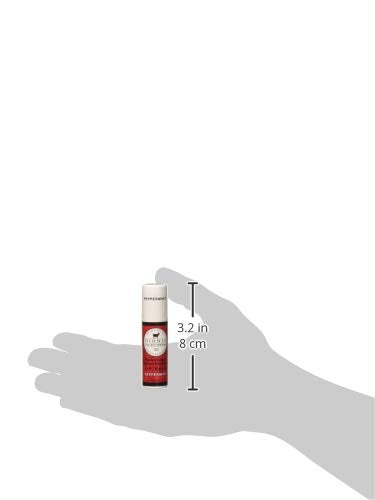 Dionis Goat Milk Skincare Lip Balm (Peppermint, 0.28 oz) Beauty & Personal Care Dionis