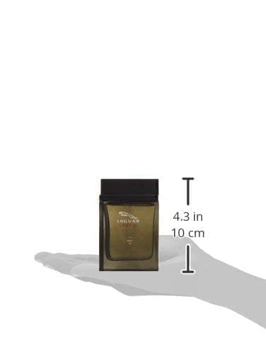 Jaguar Vision III Eau De Toilette Spray for Men, 3.4 Ounce Beauty & Personal Care JAGUAR