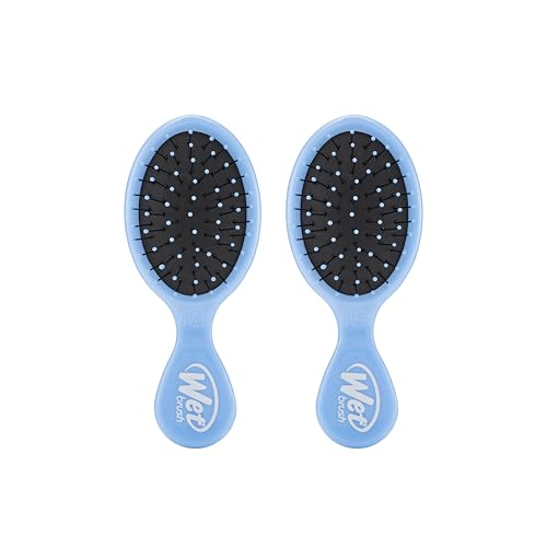 Wet Brush Squirt Detangling Brush, Sky, Mini Detangler, No Tangle Ultra-Soft IntelliFlex Bristles, Wet & Dry Styling Hairbrush for Women & Men, All