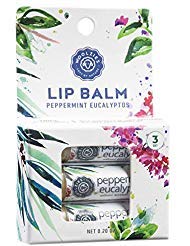 Lip Balm Set: All-Natural Shea Butter, Beeswax, Coconut Oil, Vitamin E Infused Lip Moisturizer Care (3 Pack, Peppermint Eucalyptus) Beauty and Personal Care Woolzies
