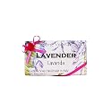 Alchimia Ladybug Lavanda (Lavender) Vegetable Soap Handmade In Italy - 10.5 oz Soap Bar Beauty & Personal Care Alchimia