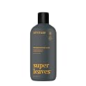 ATTITUDE 2-in-1 Body Wash & Shampoo for Men & Women, EWG Verified, Vegan, Natural Ingredients, Dermatologist-Tested, Ginseng and Grapeseed Oil, 16 Fl Beauty & Personal Care BIO SPECTRA ATTITUDE