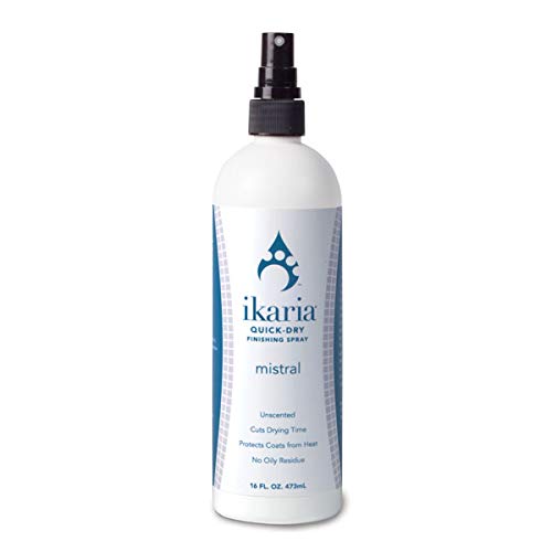 Ikaria Quick Dry Finishing Spray 16 oz Beauty & Personal Care Ikaria