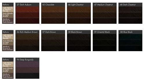 Bigen Powder Hair Color 59 Oriental Black .21 oz Beauty & Personal Care Bigen