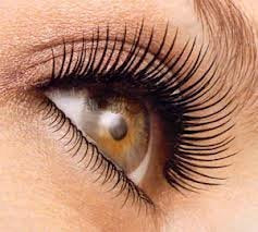 Jolie Ultra Dramatic Luxury Lash Mascara W/Curling Brush - Hypoallergenic, Paraben Free (Navy) Beauty & Personal Care JOLIE. IMPECCABLE ME