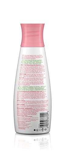 Live Clean Shampoo, Super Fruit Waters Quenching Curls, 12 Oz Beauty & Personal Care Live Clean