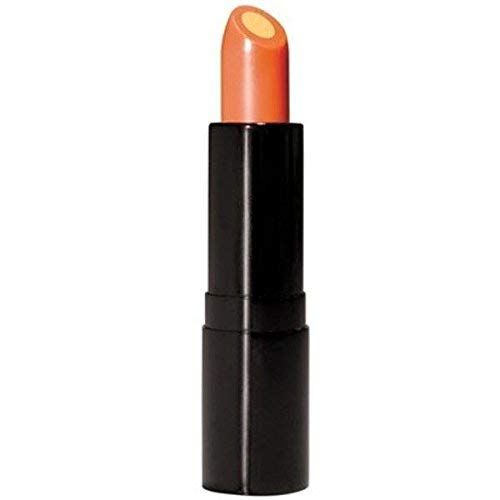 Vitamin C Lip Treatment - Lip Balm Wrapped Around a Conditioning Core of Vitamin E That Smoothes, Soothes and Helps Prevent Dryness and Chapping Beauty & Personal Care ProBeautyco Lisher