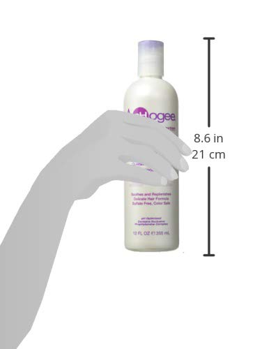 Aphogee Keratin and Green Tea 12-ounce Shampoo, 12 Ounce Beauty & Personal Care Aphogee