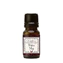 Coventry Creations Wicked Witch Mojo Wishin' Mojo Oil by Dorothy Morrison Beauty & Personal Care Coventry Creations