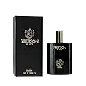 Stetson Black Cologne for Men Spray 3.4 Ounces Beauty & Personal Care Stetson