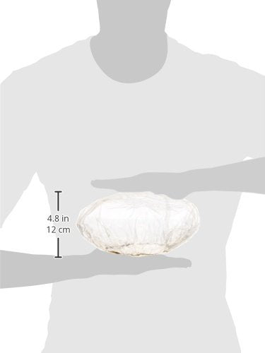 Medline Shower Caps, Single-Use Clear Plastic, Elastic Band, One Size Fits Most, Case of 500 Beauty & Personal Care Medline