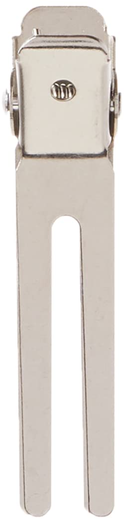 Diane Double Prong Hair Clips for Women, Girls For Holding Rollers or Hair 1.75 Inches Long Silver D17, 80 Count (Pack of 1) Beauty & Personal Care Diane
