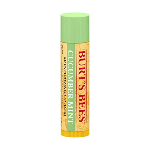 Burt's Bees Cucumber Mint Moisturizing Lip Balm for Women, Orange, 0.15 Oz Beauty and Personal Care Burt's Bees