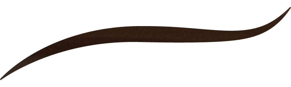 PRESTIGE COSMETICS Long Lasting Brow Shaper Pen, Dark Brunette (BPP-04)