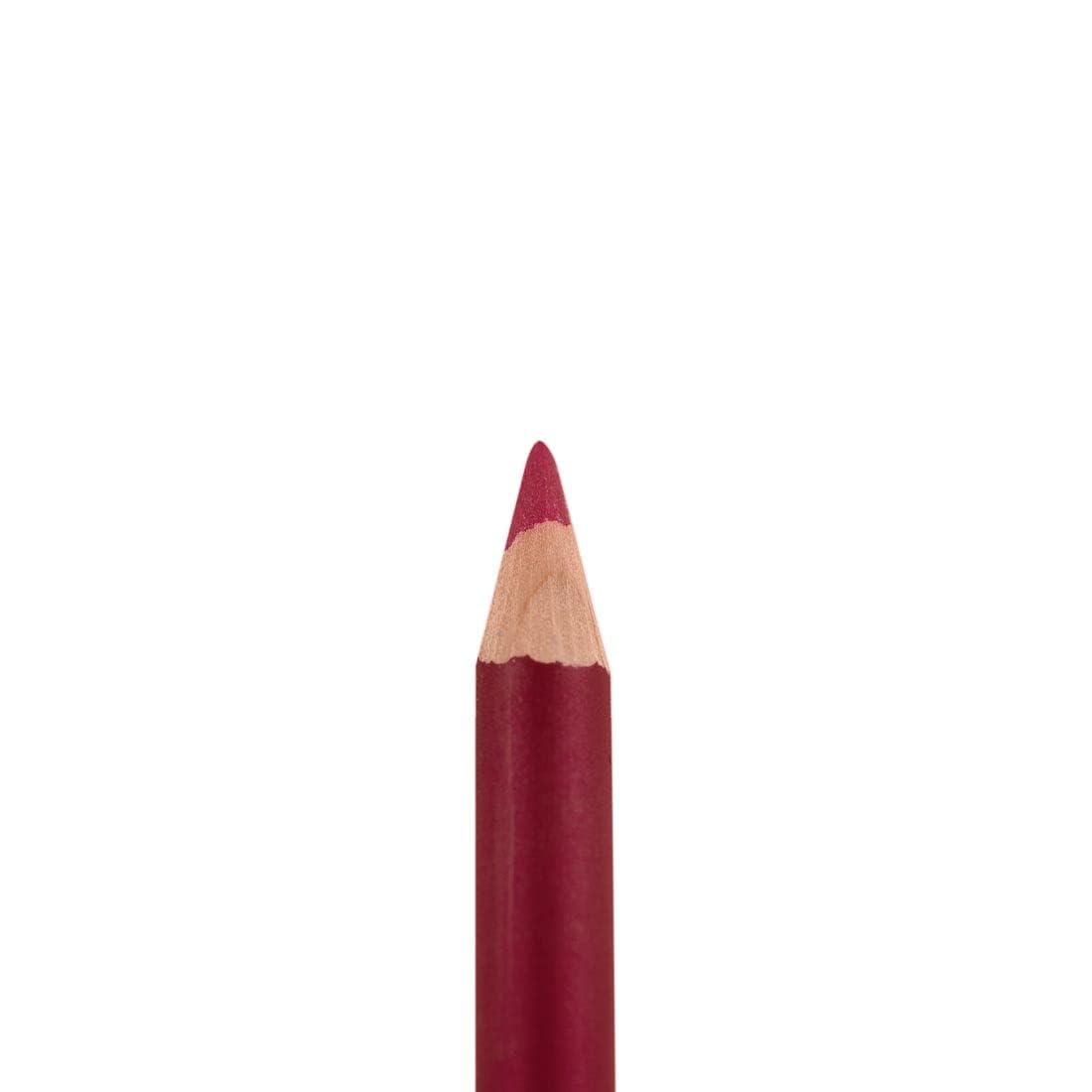 Palladio Lip Liner Pencil, Wooden, Firm yet Smooth, Perfectly Outlined Lips, Hydrating, Moisturizing, Rich Pigmented Color, Long Lasting, Pink Frost Beauty & Personal Care Palladio
