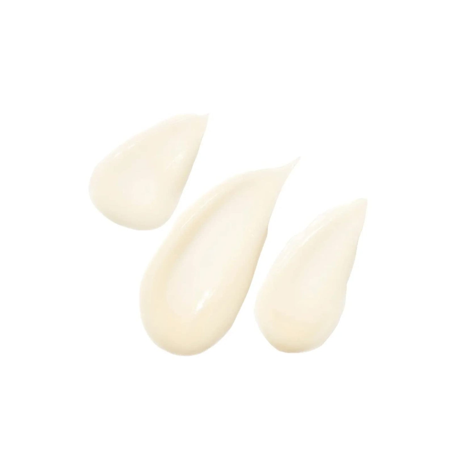 Agent Nateur - holi (water) crème Natural Filter Face Creme | Hydrate, Plump, Refine, Soften | Luxury, Non-Toxic Clean Skincare (1.9 fl oz | 56 ml) Beauty & Personal Care Agent Nateur