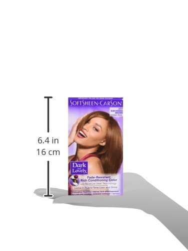 Dark & Lovely Color #377 Sun Kissed Brown (Pack of 6) Beauty & Personal Care Dark and Lovely