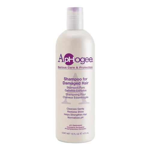 Aphogee Replenishing Repair Shampoo for Dry Damaged Hair (16 Fl Oz)