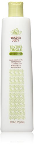 Trader Joe's Tea Tree Tingle Conditioner with Peppermint and Eucalyptus (2 Pack)