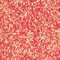 LA Splash Glitter Splash Body/Face Glitter Beauty & Personal Care SPLASH
