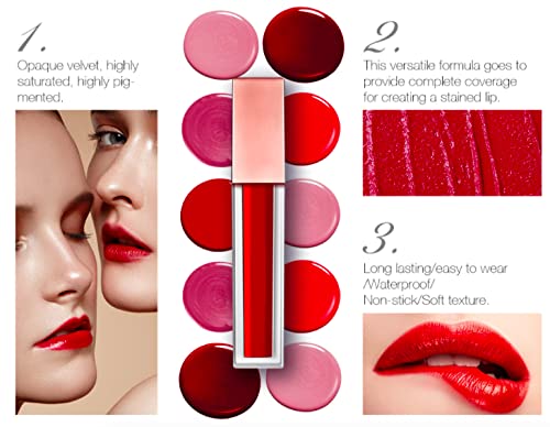 EVELIER Luxury Line: MUSE - Moisturizing Smooth Creamy Fruity Colors Lipstick Lipgloss - For Sexy Lips, Highly Pigmented, Instant Shine Lip Gloss Beauty & Personal Care EVELIER