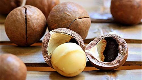 Barefoot Venus Macadamia Nut Oil and Almond Oil Body Cream 225 ML / 8 Oz (Wild Ginger & Sweet Orange) Beauty & Personal Care Barefoot Venus