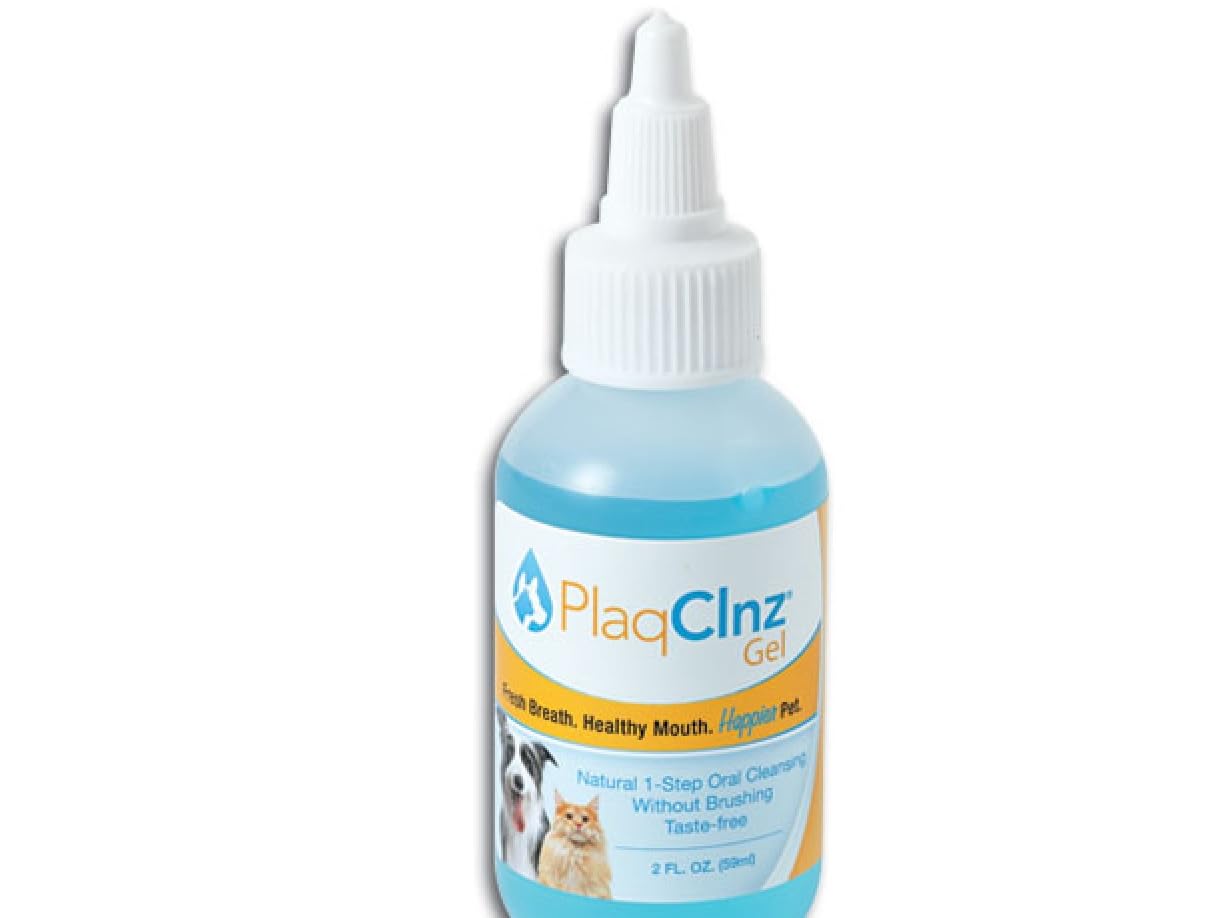 PlaqClnz Daily Treatment Gel, 2-Ounce Beauty & Personal Care PlaqClnz