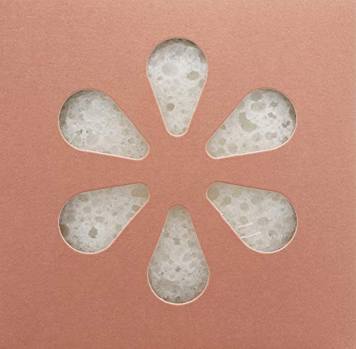 kai Body Buffer Rose, 2 Count, Innovative Bath sponges that Gently exfoliates Skin While Cleansing the Body with a Fresh + Clean Gardenia Rose Beauty & Personal Care kai