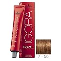 Schwarzkopf Professional Igora Royal Hair Color, 7-55, Medium Blonde Gold Extra, 60 Gram Beauty & Personal Care Schwarzkopf