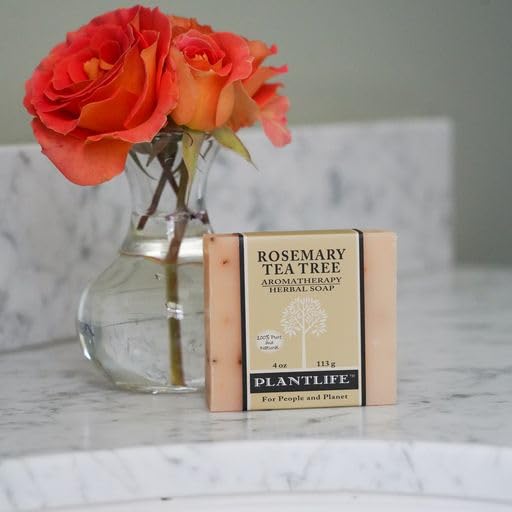 Plantlife Rosemary Tea Tree Bar Soap - Moisturizing and Soothing Soap for Your Skin - Hand Crafted Using Plant-Based Ingredients - Made in California Beauty & Personal Care Plantlife