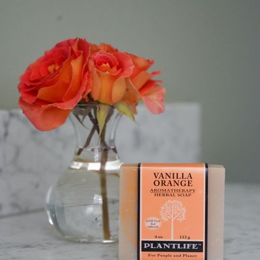 Plantlife Vanilla Orange Bar Soap - Moisturizing and Soothing Soap for Your Skin - Hand Crafted Using Plant-Based Ingredients - Made in California 4oz Beauty & Personal Care Plantlife
