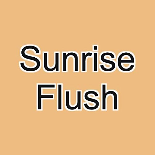 Graftobian F/X Aire Airbrush Makeup (Sunrise Flush) Beauty & Personal Care Graftobian