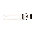 Diane 1.75" Double Prong Slide-in Clips, 80-Count Beauty & Personal Care Diane