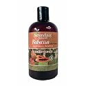 Sarandipity Naturals Babassu & Papaya Hydrating Conditioner, 12 Ounce Beauty & Personal Care Sarandipity