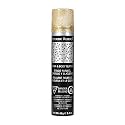 Jerome Russell Temporary Hair and Body Glitter Color Spray, Travel Spray, Lightweight, Adds Sparkly Shimmery Glow, Perfect to use On Hair, Skin, or Beauty & Personal Care Jerome Russell