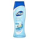 Dial Body Wash Coconut Water and Bamboo Leaf Extract, 16 Ounce (Pack of 3) Beauty & Personal Care Dial