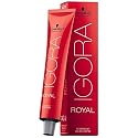 Schwarzkopf Professional Igora Royal Permanent Hair Color, 9-1, Extra Light Blonde Cendre, 60 Gram Beauty & Personal Care Schwarzkopf