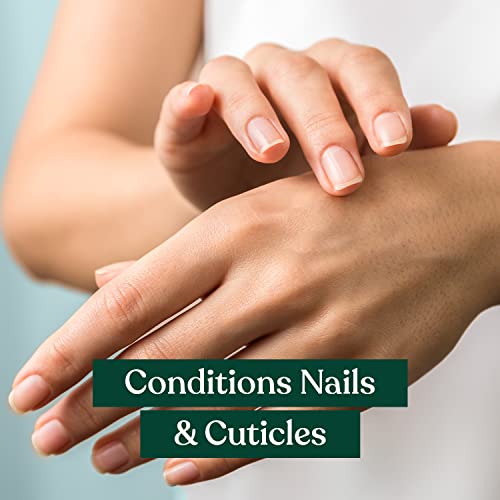 The Body Shop Almond Nail & Cuticle Oil – Two-in-One Pen Conditions Nails & Softens Cuticles – 0.06 oz Beauty & Personal Care The Body Shop