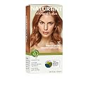 Naturtint 7C Terracotta Blonde Permanent Hair Color (Pack of 1), Ammonia Free, Vegan, Cruelty Free, up to 100% Gray Coverage, Long Lasting Results Beauty & Personal Care Naturtint
