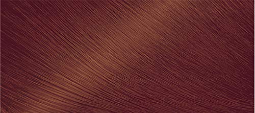 Bigen One Push 4B Burgundy Brown - 2 Pack Beauty & Personal Care Bigen