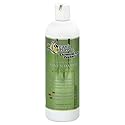 Organic Excellence Mint Shampoo, 16-Ounces (Pack of 2) Beauty & Personal Care Organic Excellence