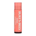 Burts Bees 100% Natural Origin Tinted Lip Balm, Zinnia with Shea Butter & Botanical Waxes - 1 Tube Beauty & Personal Care Burt's Bees