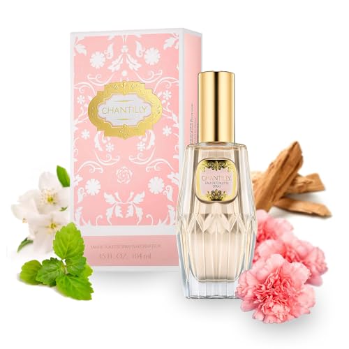 Dana Chantilly EDT Spray 3.5 oz Beauty & Personal Care Dana