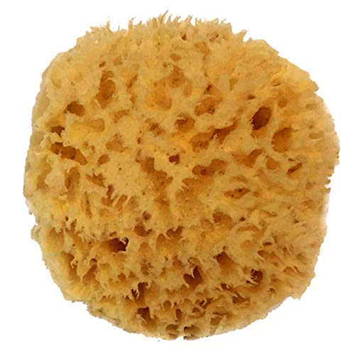 Natural Sea Wool Sponge 4-5" by Spa Destinations ® Amazing Natural Renewable Resource Creating The in Perfect Bath and Shower Experience Beauty and Personal Care Spa Destinations