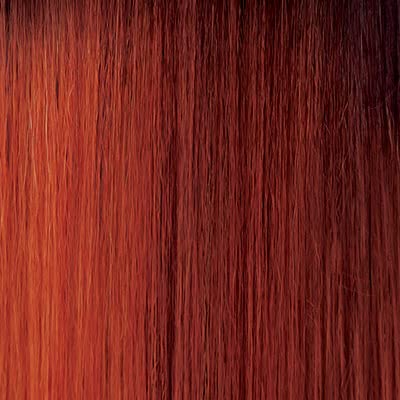 Outre Neesha Soft & Natural Synthetic Swiss Lace Front Wig NEESHA 206 (DRFF2/CINSP)