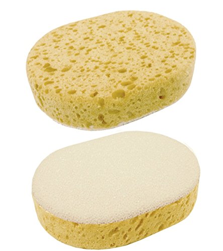 Oval Scrub Sponge Beauty and Personal Care Jacks Inc.