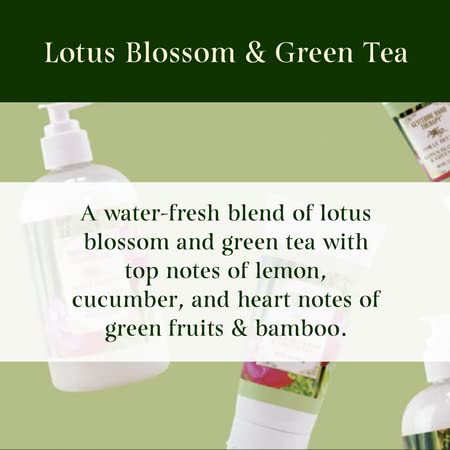 Camille Beckman Hand and Shower Cleansing Gel (Lotus Blossom & Green Tea, 13 oz) Beauty & Personal Care Camille Beckman