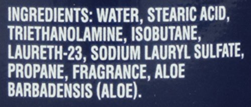 Barbasol Soothing Aloe Thick & Rich Shaving Cream 10 Oz (2 Pack) Beauty & Personal Care Barbasol